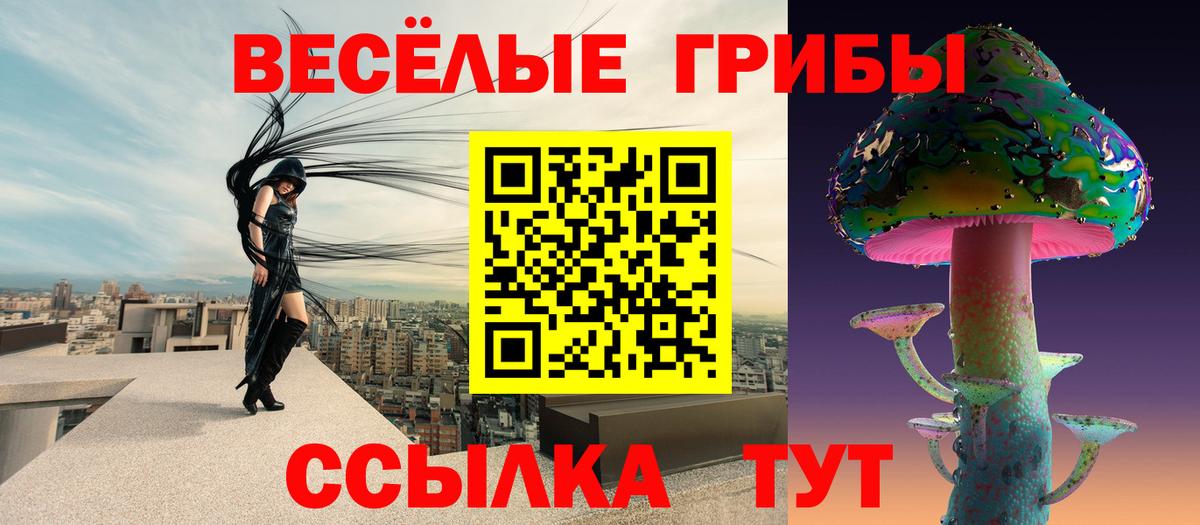 Галлюциногенные грибы Psilocybe Владикавказ